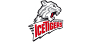 Ice Tigers
