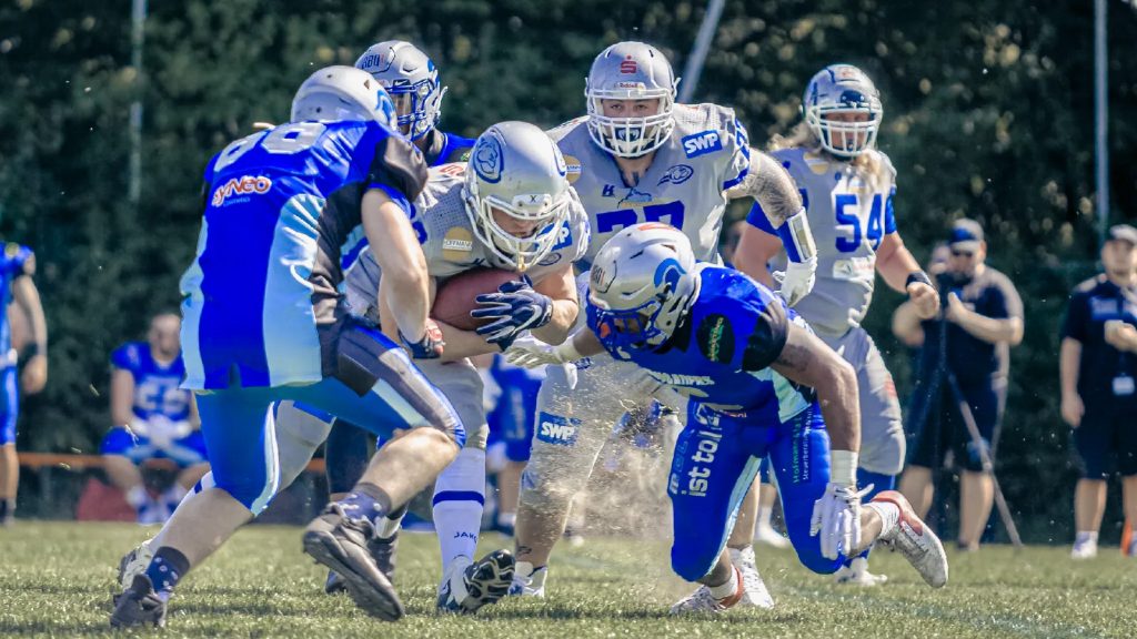 Crowdfunding im American Football - Wilddogs