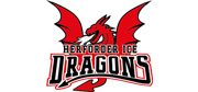 Herforder Ice Dragons